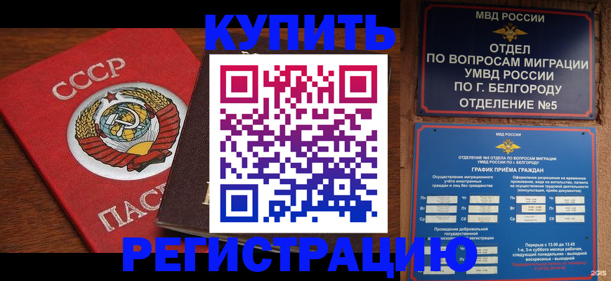 прописка для работы в Реутове